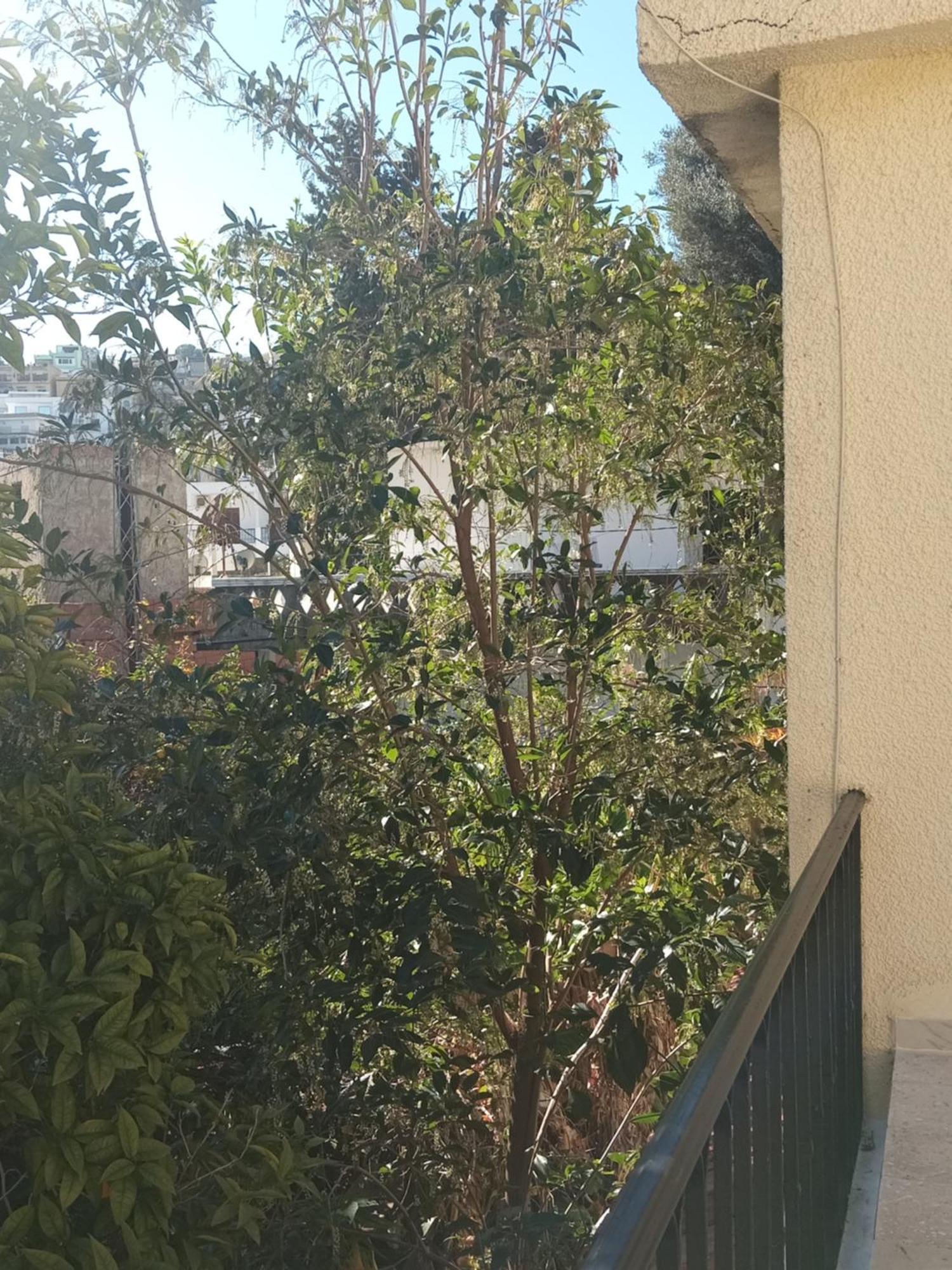 Maison De Vacances Табарка Экстерьер фото